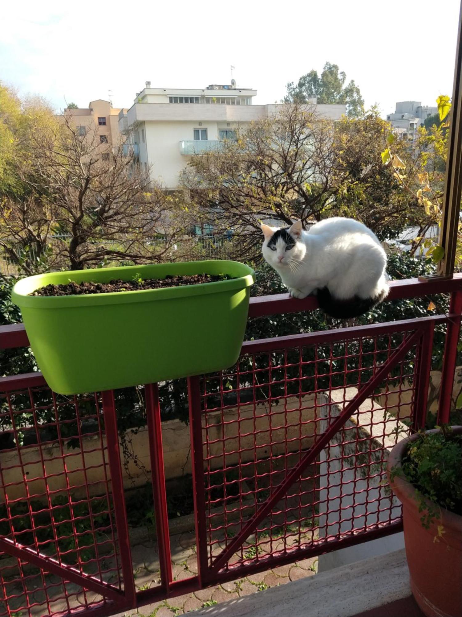 Intero Appartamento Con Giardino E Parcheggio Rome Exterior photo